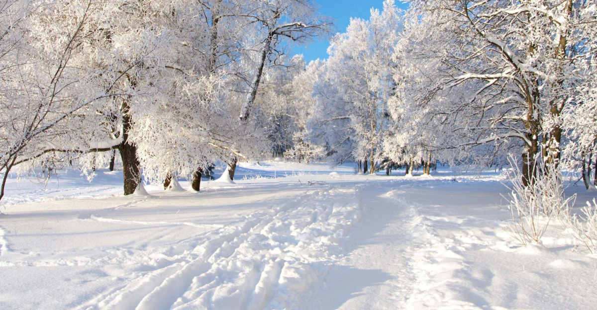 gallery/snowy landscape